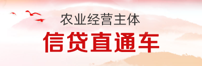 國(guó)家政務(wù)服務(wù)平臺(tái)